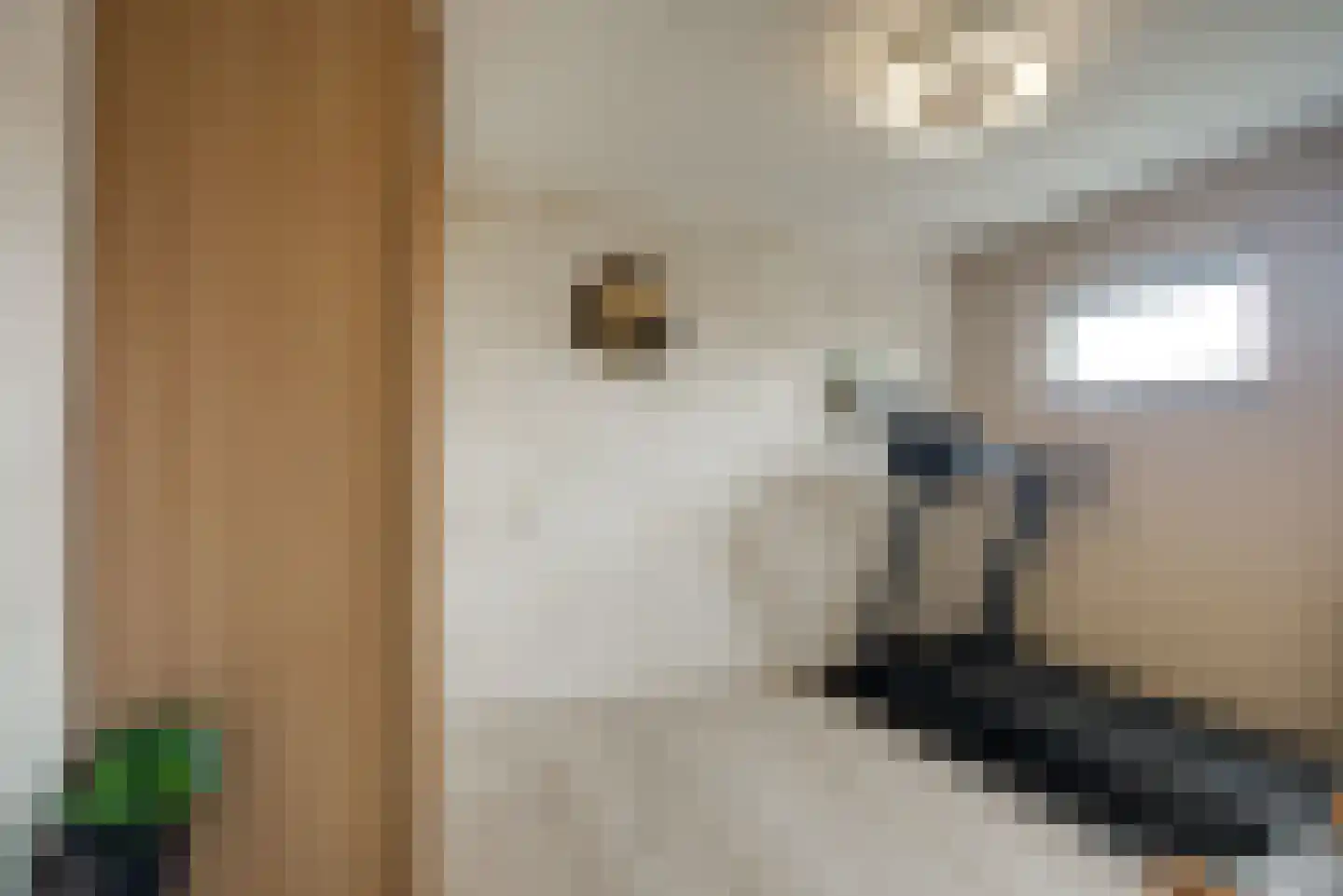 Sepiabruin 11 Zoetermeer thumbnail 39