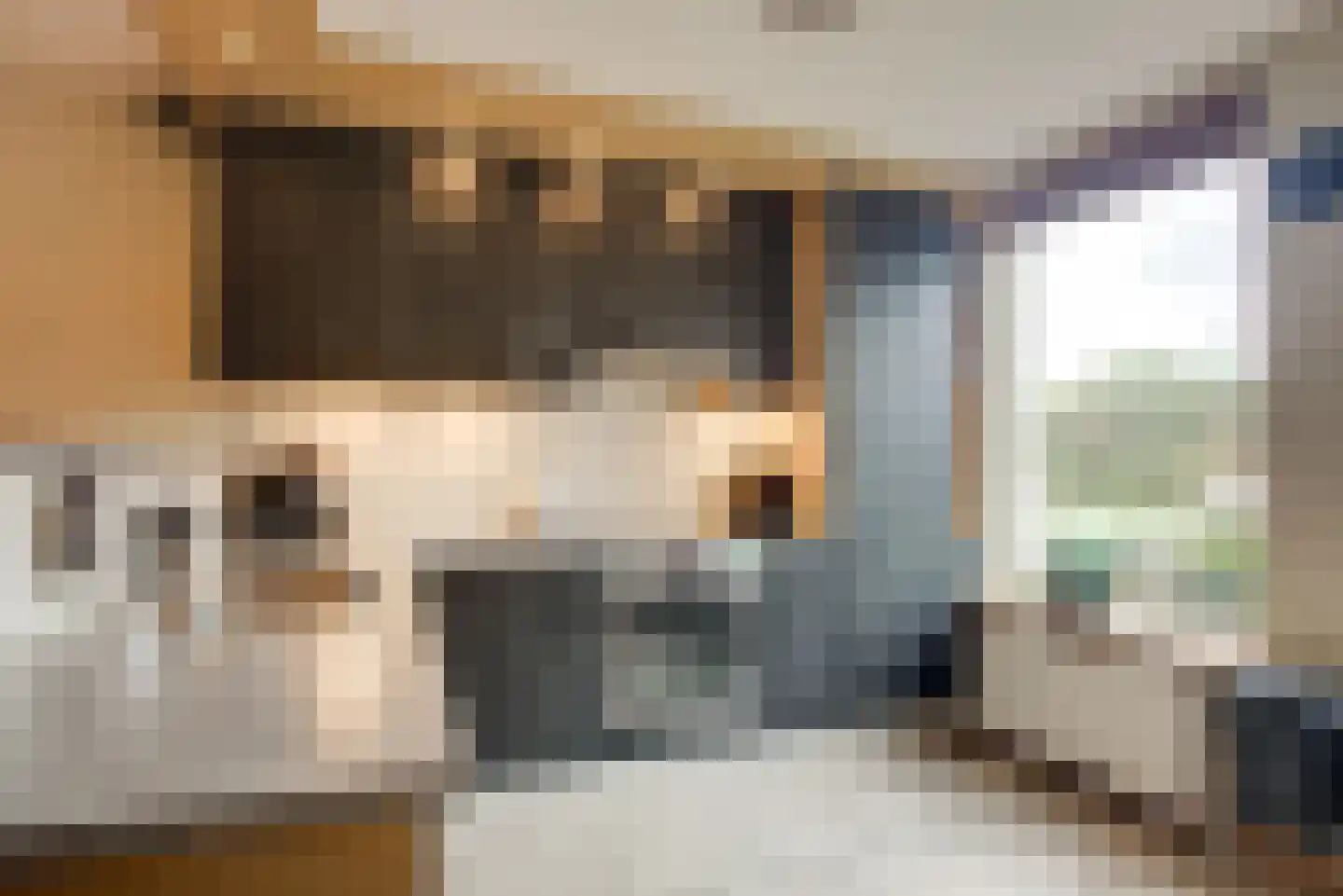 Sepiabruin 11 Zoetermeer thumbnail 4