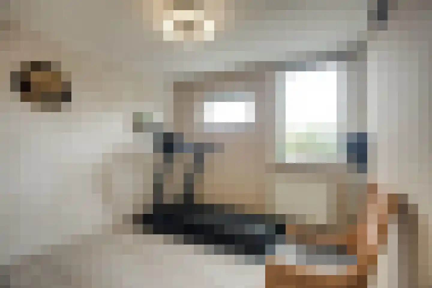 Sepiabruin 11 Zoetermeer thumbnail 40