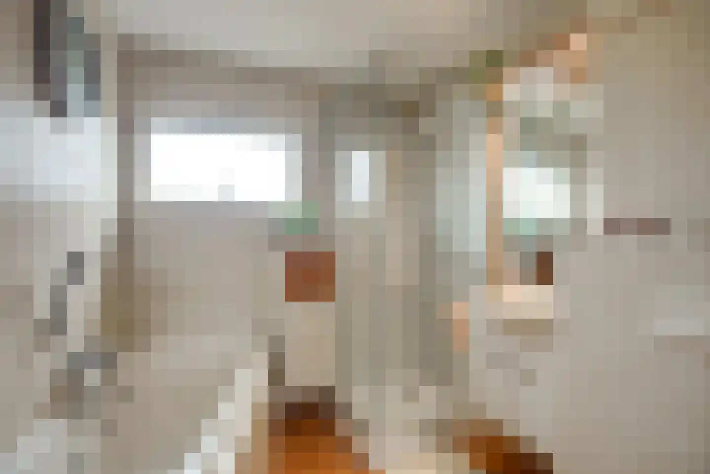 Sepiabruin 11 Zoetermeer thumbnail 41