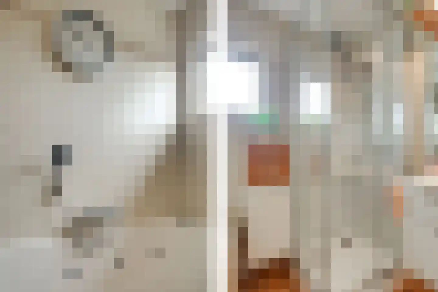 Sepiabruin 11 Zoetermeer thumbnail 43