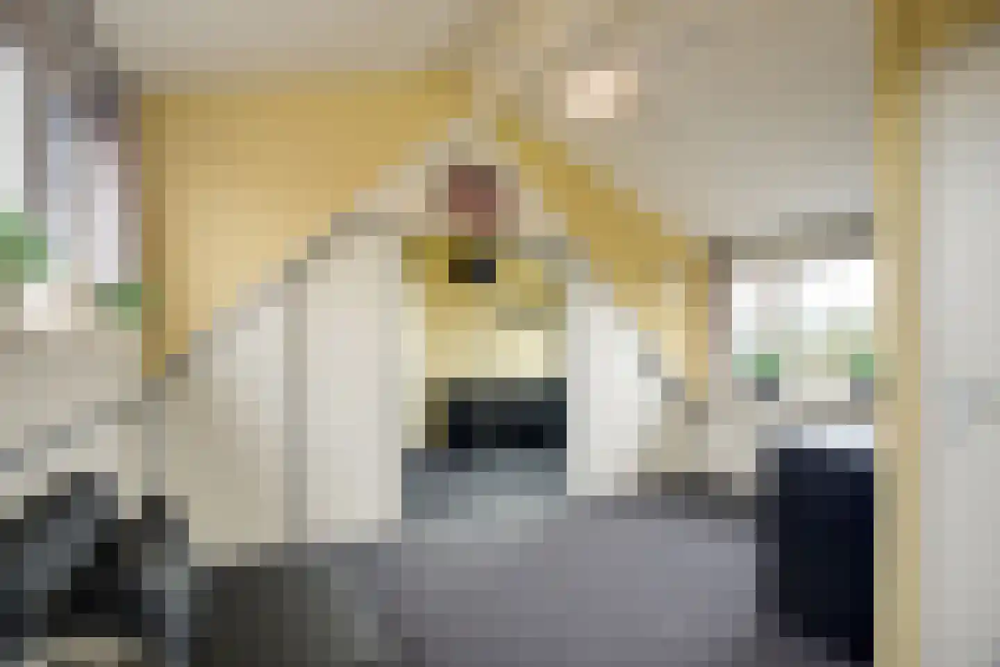 Sepiabruin 11 Zoetermeer thumbnail 44
