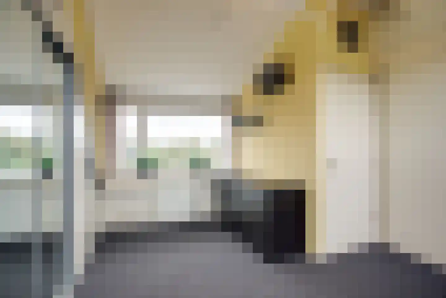 Sepiabruin 11 Zoetermeer thumbnail 45