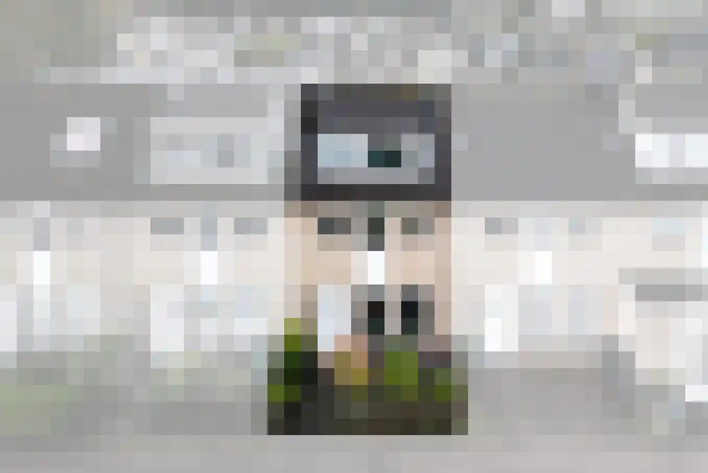 Sepiabruin 11 Zoetermeer thumbnail 47