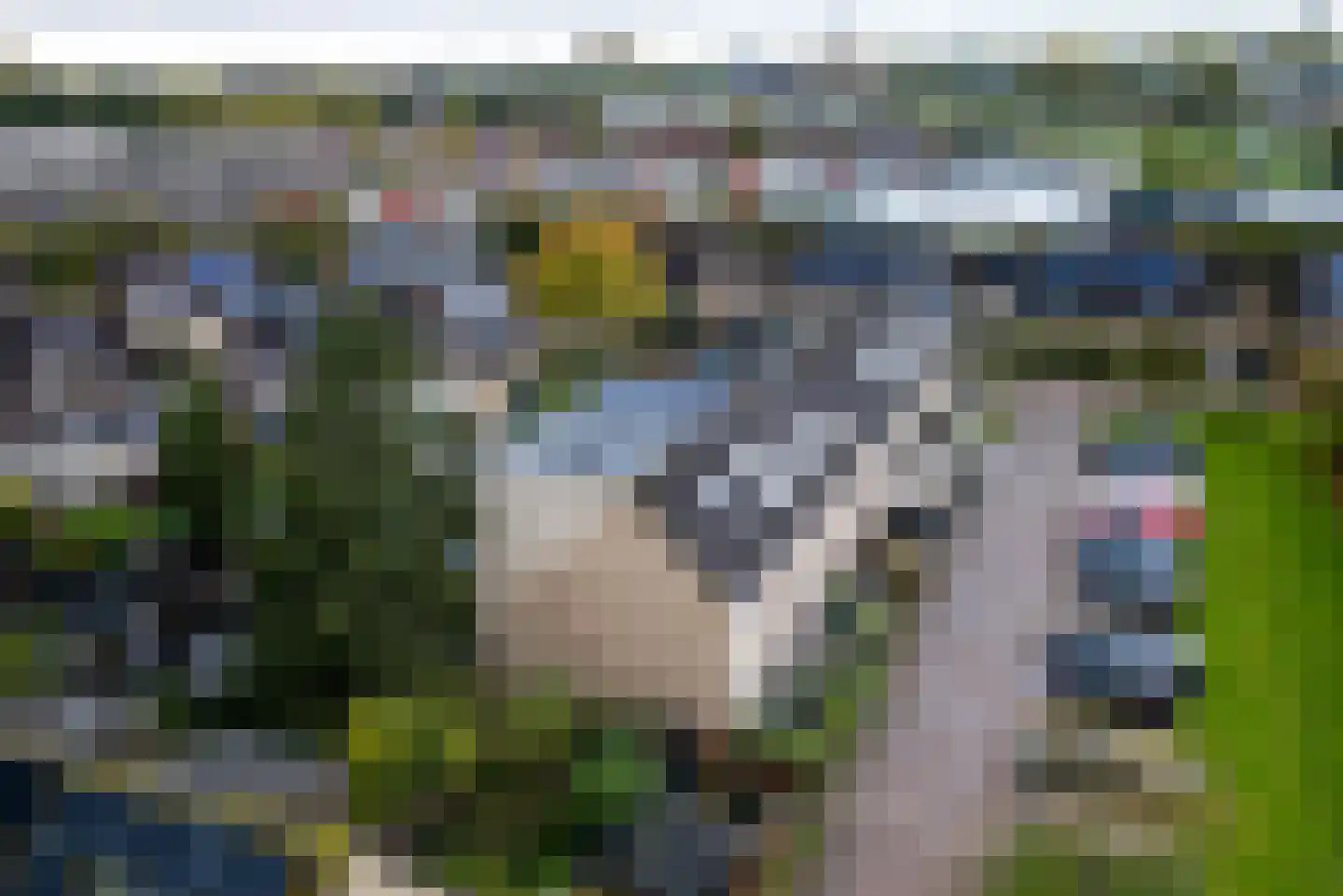 Sepiabruin 11 Zoetermeer thumbnail 54