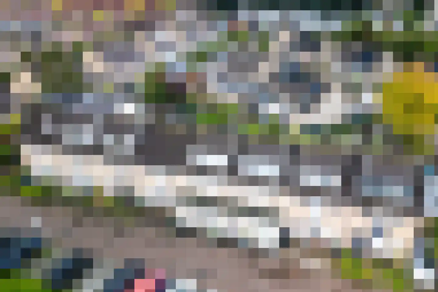 Sepiabruin 11 Zoetermeer thumbnail 56