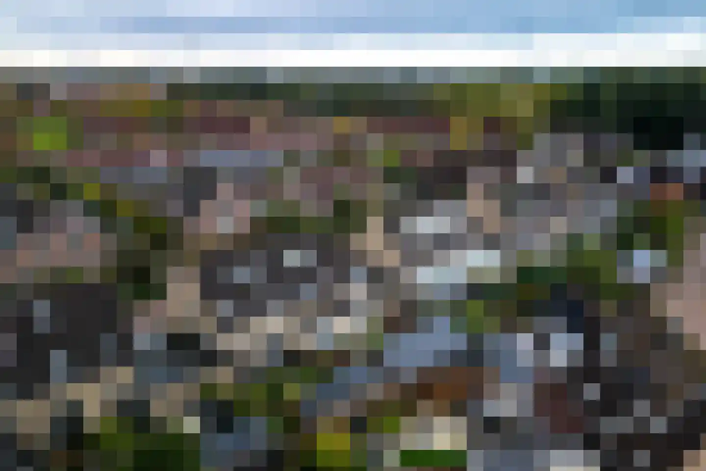 Sepiabruin 11 Zoetermeer thumbnail 59