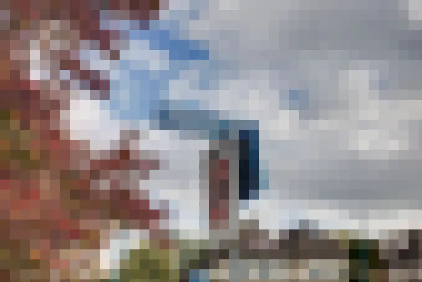 Sepiabruin 11 Zoetermeer thumbnail 60