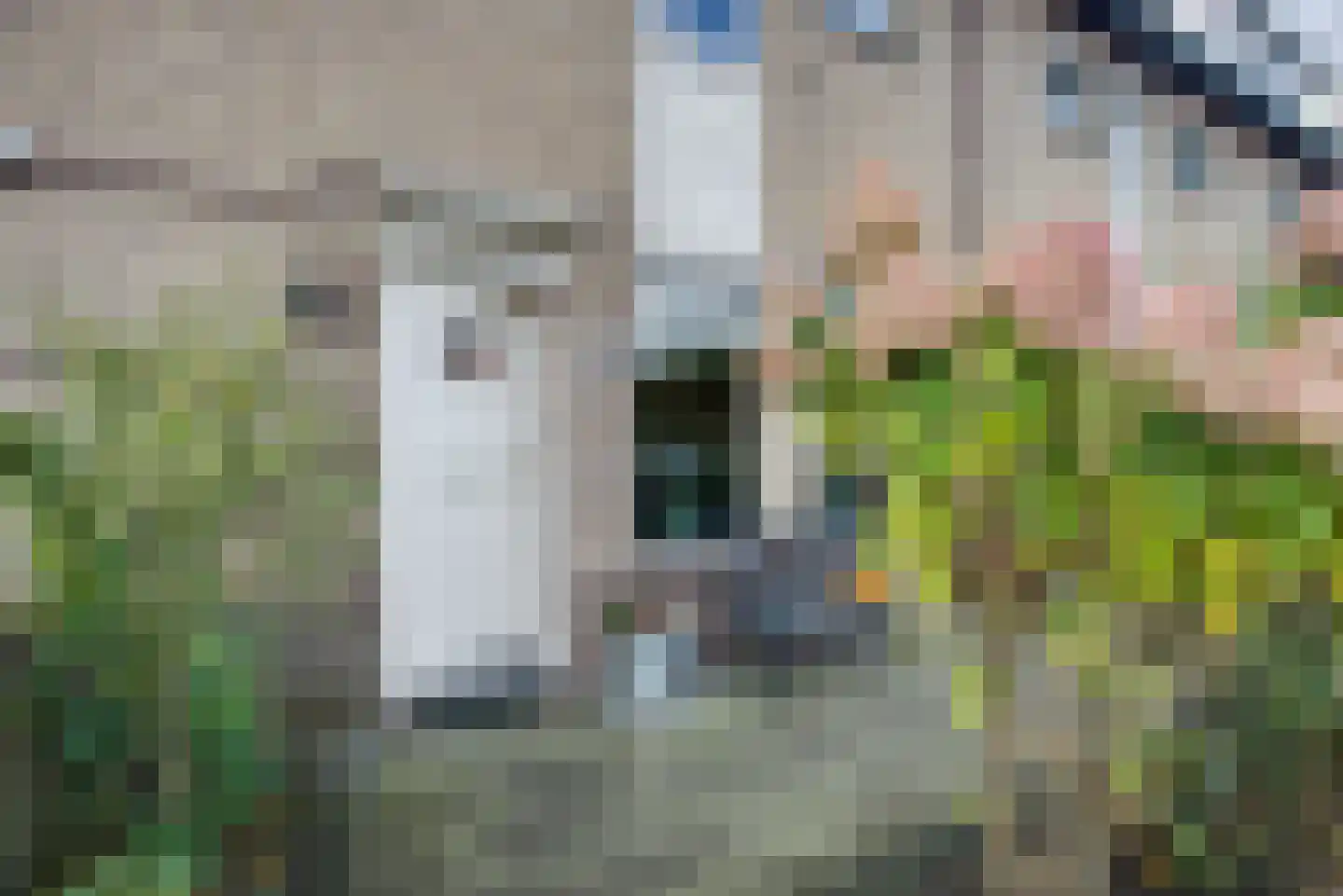 Sepiabruin 11 Zoetermeer thumbnail 8