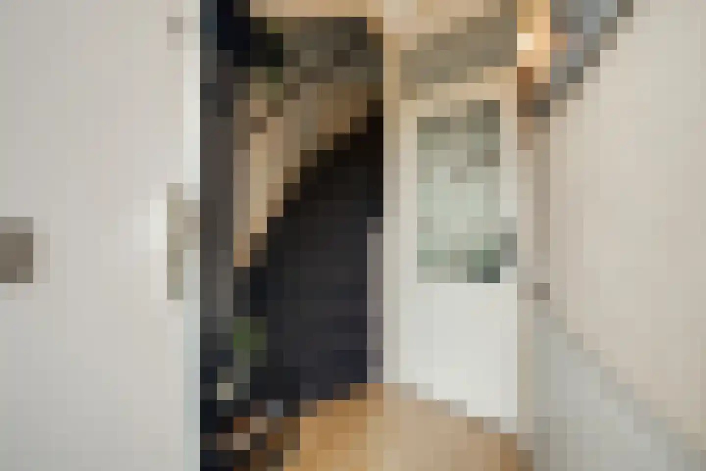 Sepiabruin 11 Zoetermeer thumbnail 9