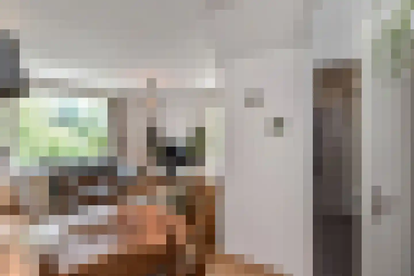 Sepiahof 15 Voorburg thumbnail 16