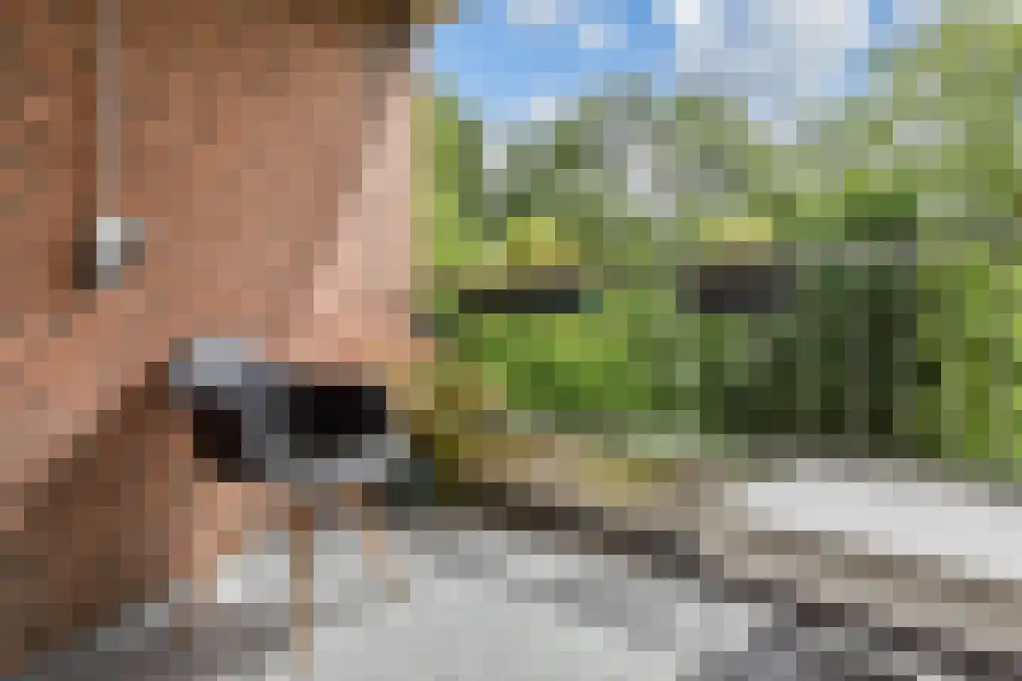 Sepiahof 15 Voorburg thumbnail 31
