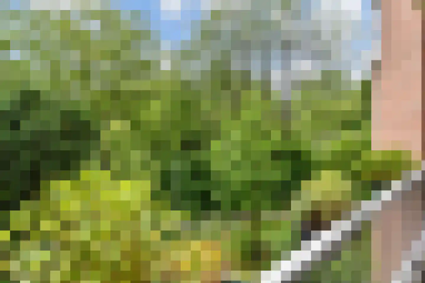 Sepiahof 15 Voorburg thumbnail 32