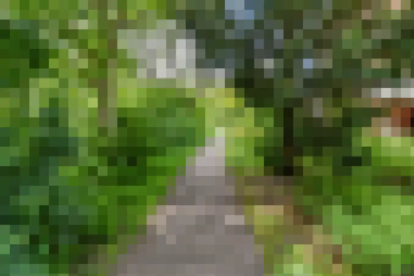 Sepiahof 15 Voorburg thumbnail 35