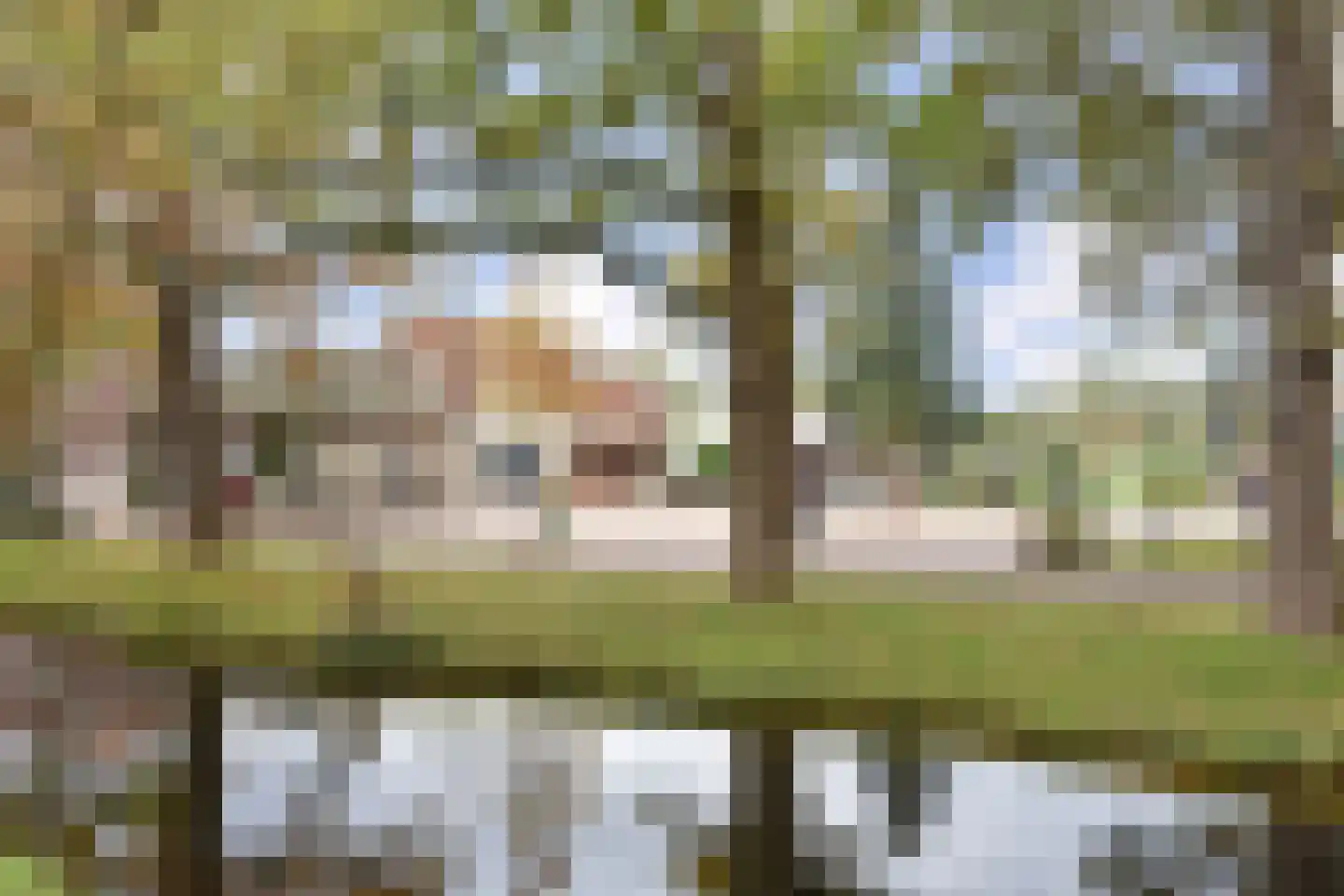 Sepiahof 15 Voorburg thumbnail 37
