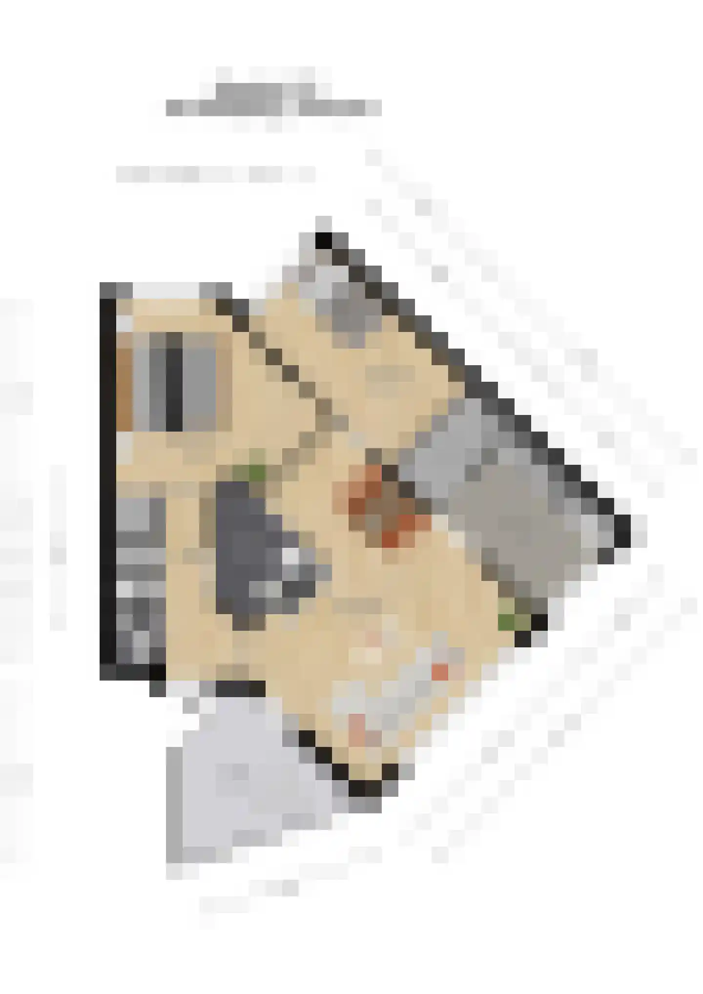 Sepiahof 15 Voorburg thumbnail 45