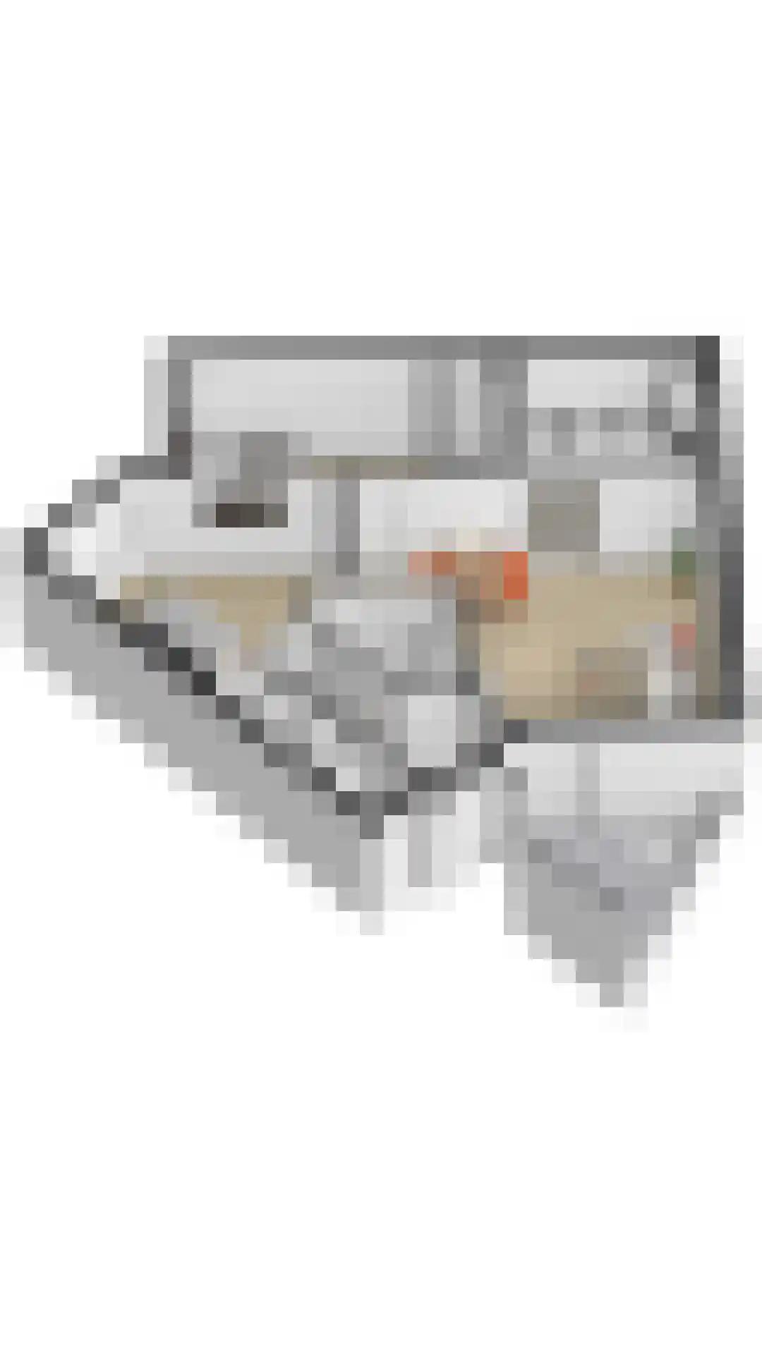 Sepiahof 15 Voorburg thumbnail 46