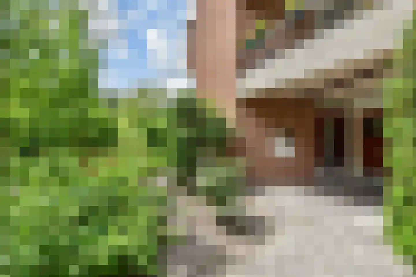 Sepiahof 15 Voorburg thumbnail 6
