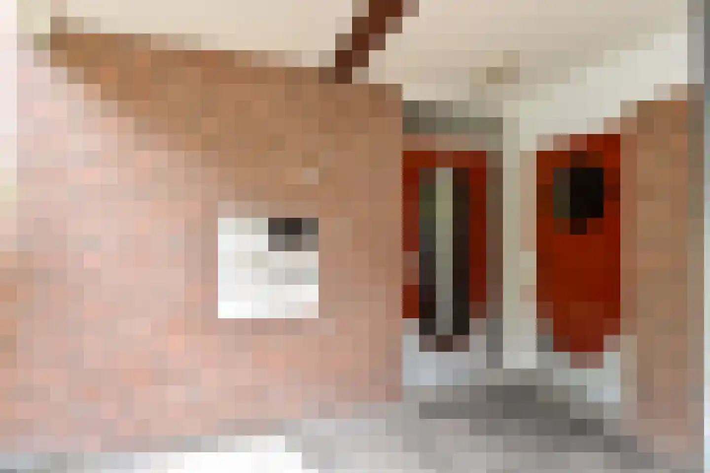 Sepiahof 15 Voorburg thumbnail 7
