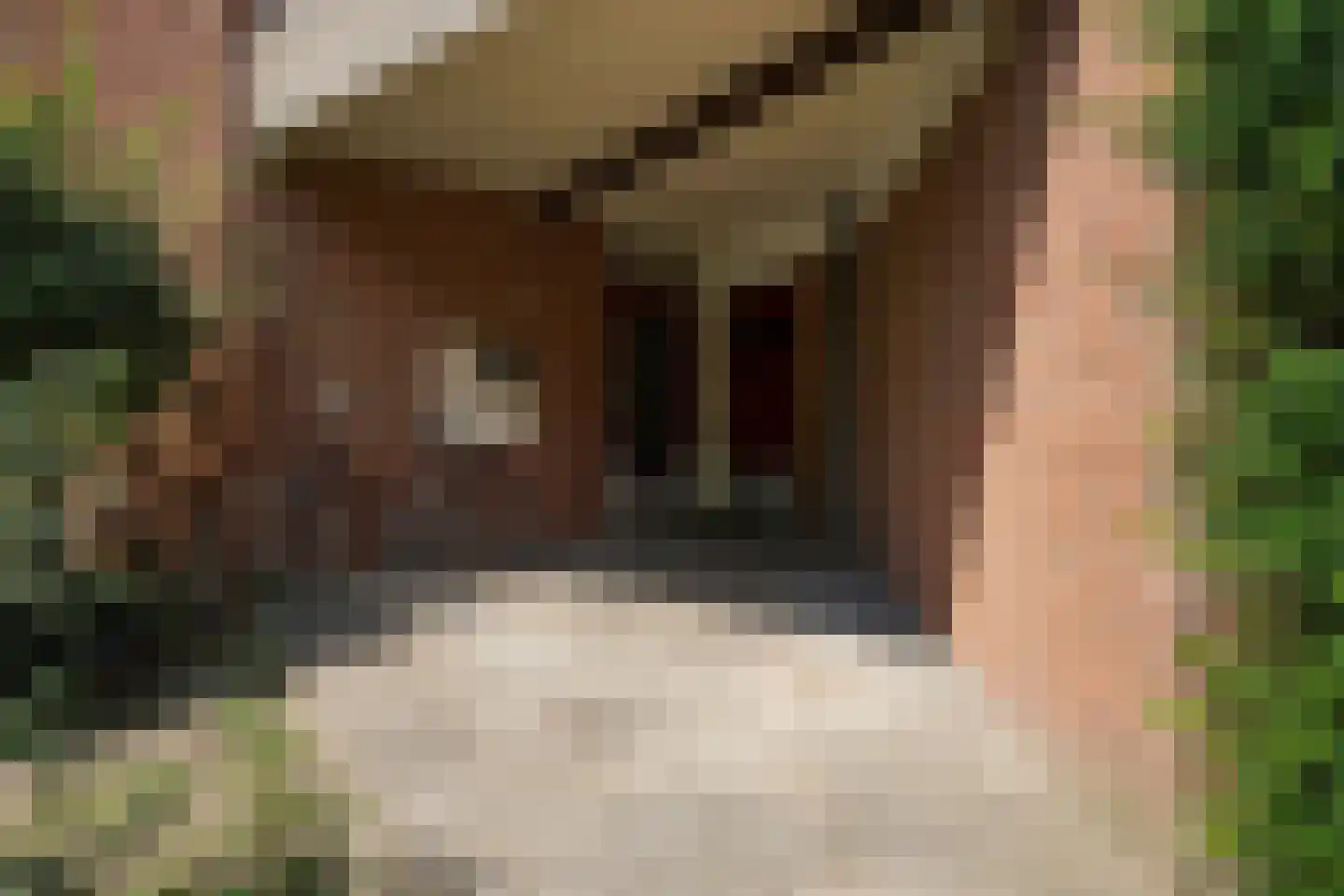 Sepiahof 17 Voorburg thumbnail 10