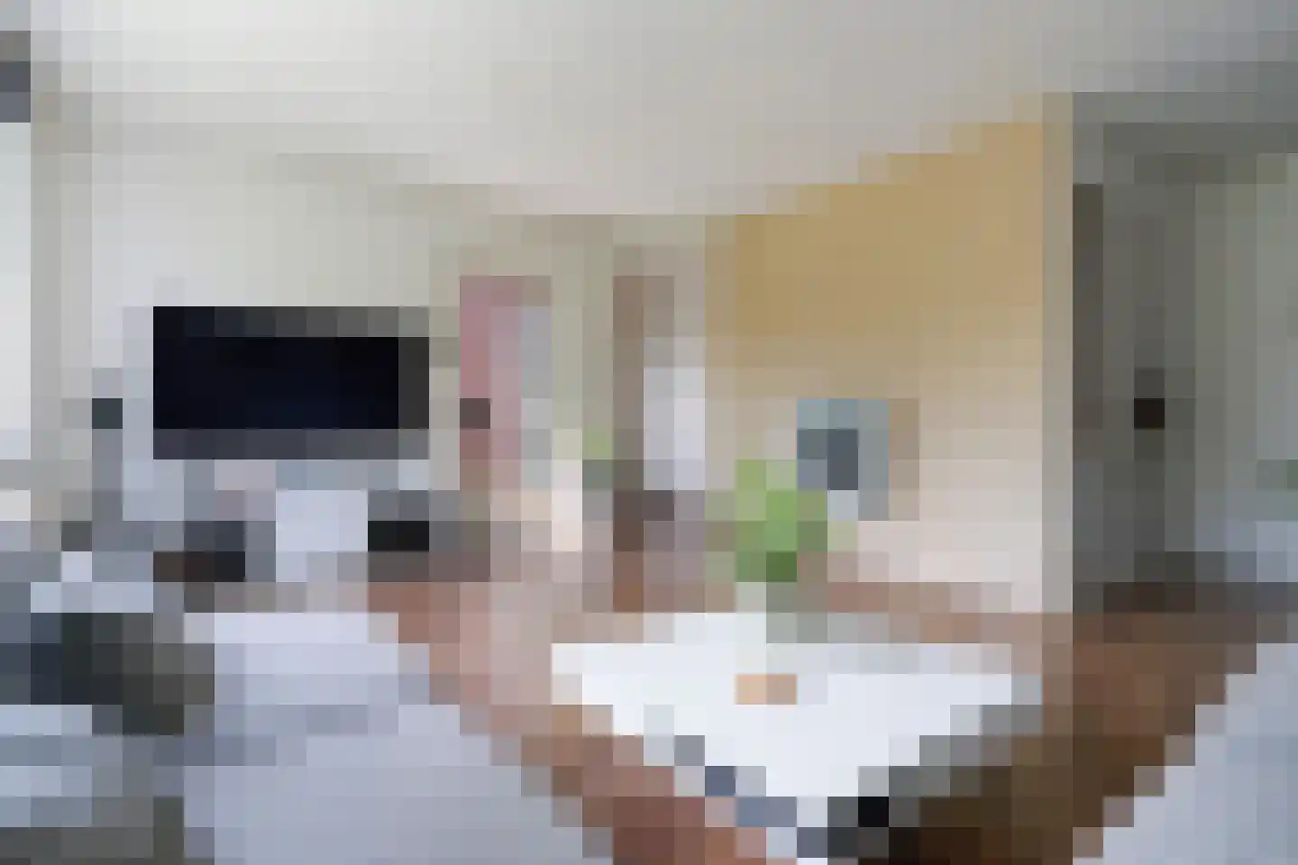 Sepiahof 17 Voorburg thumbnail 16