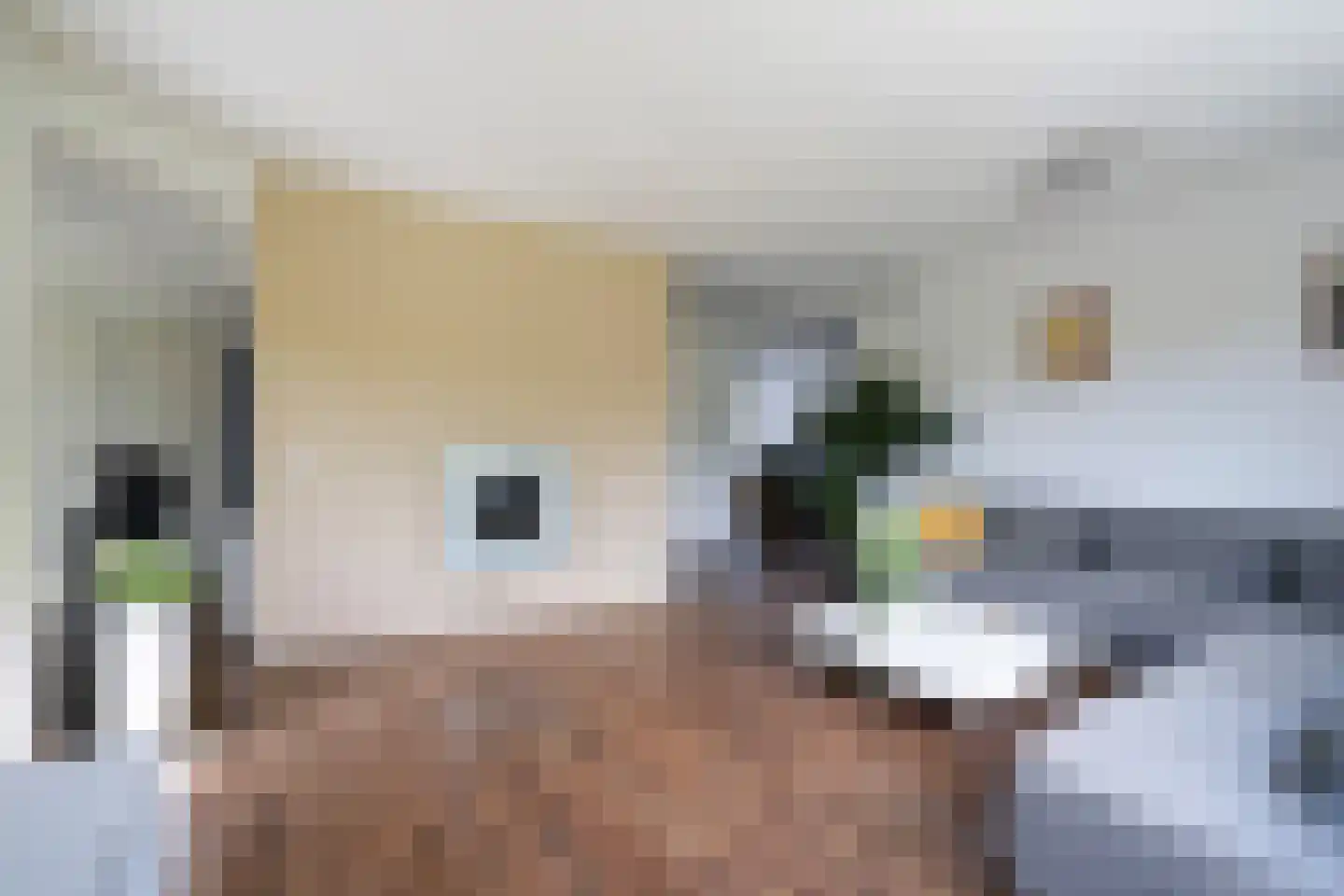 Sepiahof 17 Voorburg thumbnail 17