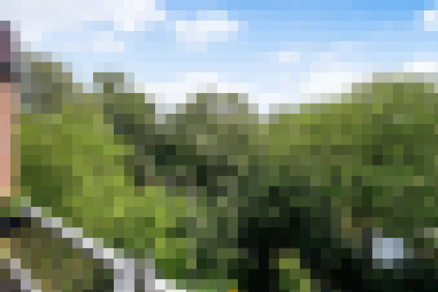 Sepiahof 17 Voorburg thumbnail 26