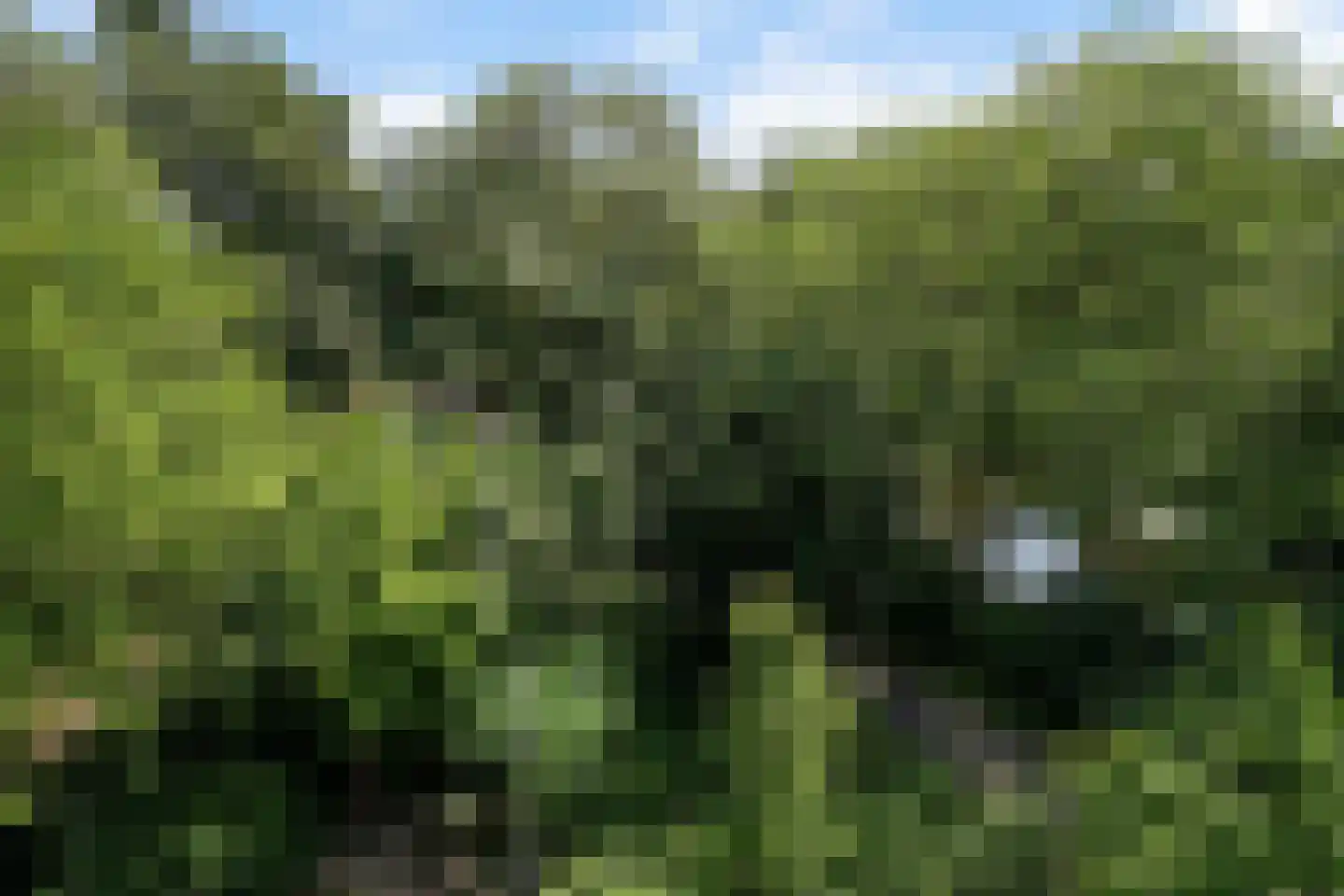 Sepiahof 17 Voorburg thumbnail 27