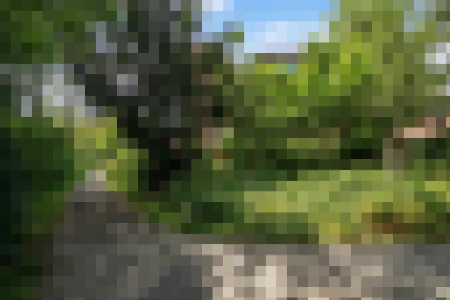 Sepiahof 17 Voorburg thumbnail 35