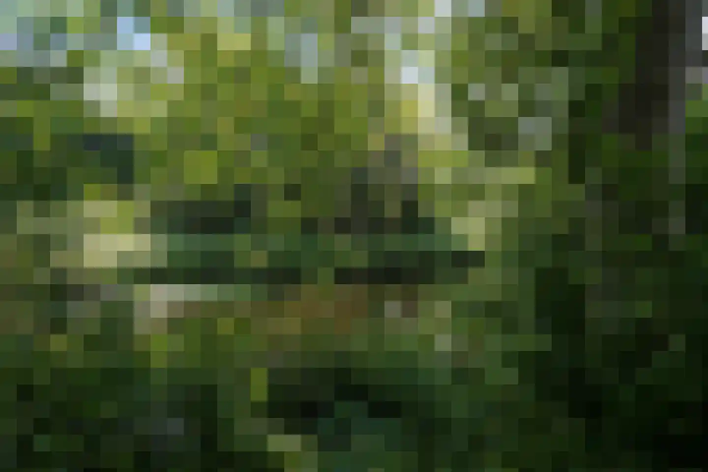 Sepiahof 17 Voorburg thumbnail 36