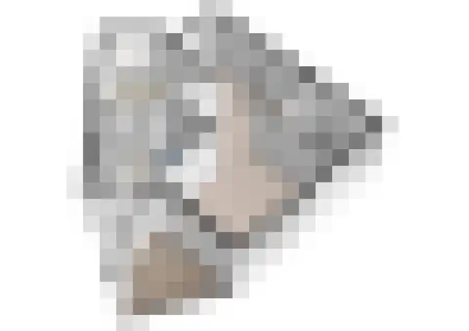 Sepiahof 17 Voorburg thumbnail 38