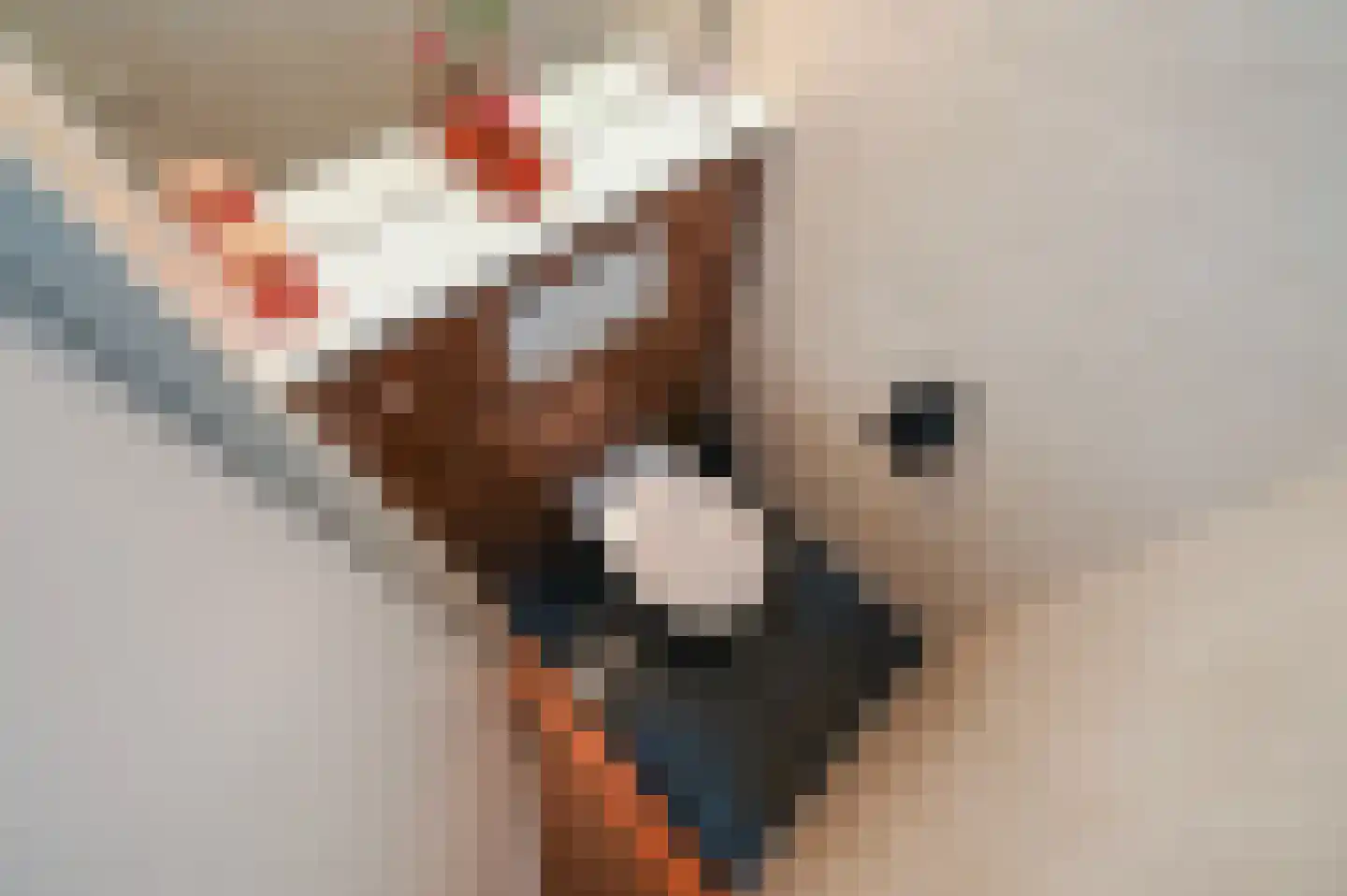 Sepiahof 22 Voorburg thumbnail 13