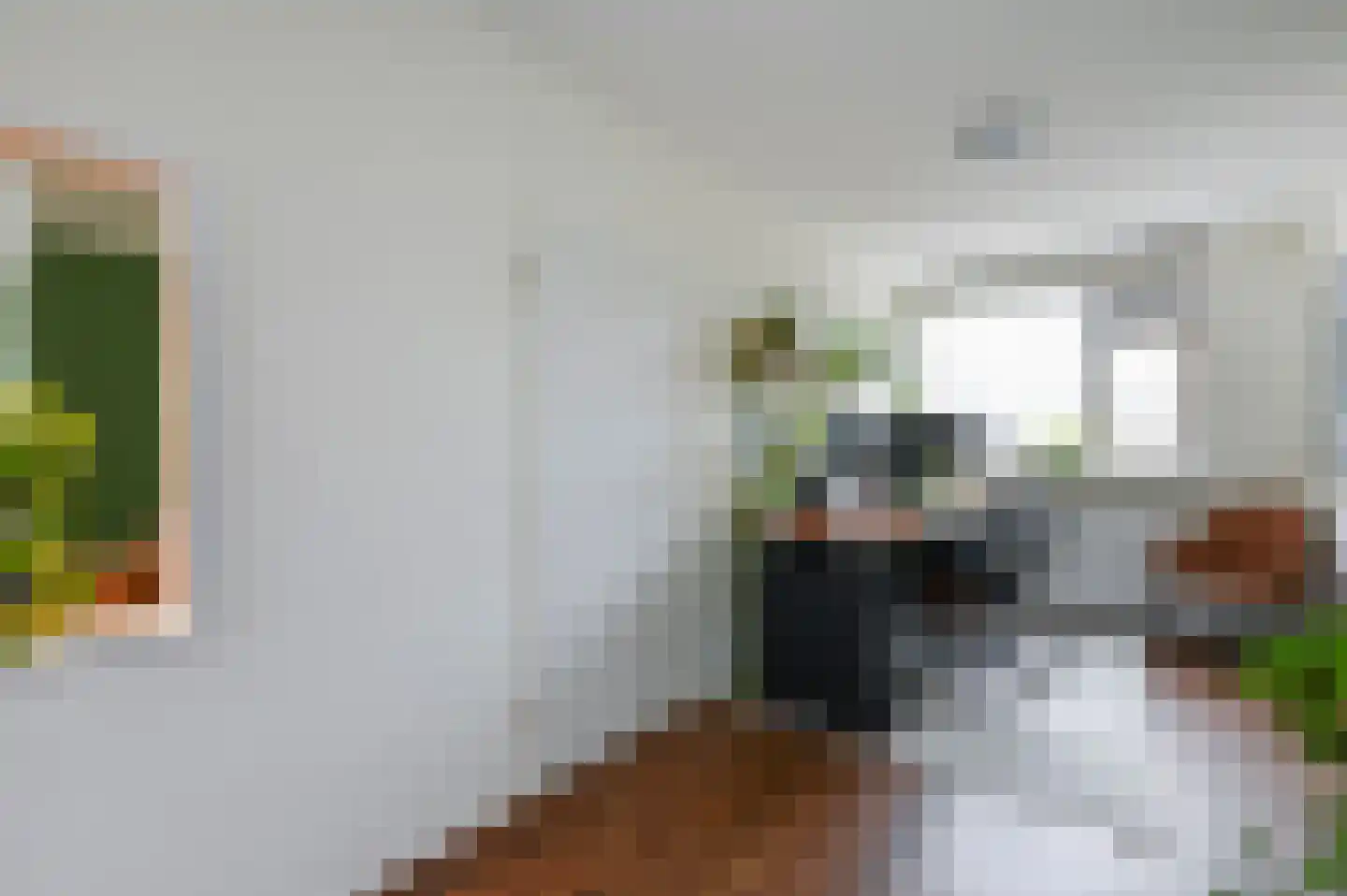 Sepiahof 22 Voorburg thumbnail 17