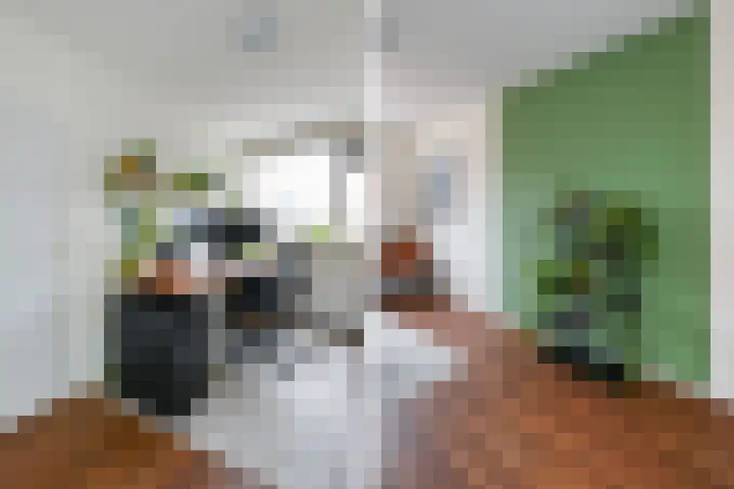 Sepiahof 22 Voorburg thumbnail 18