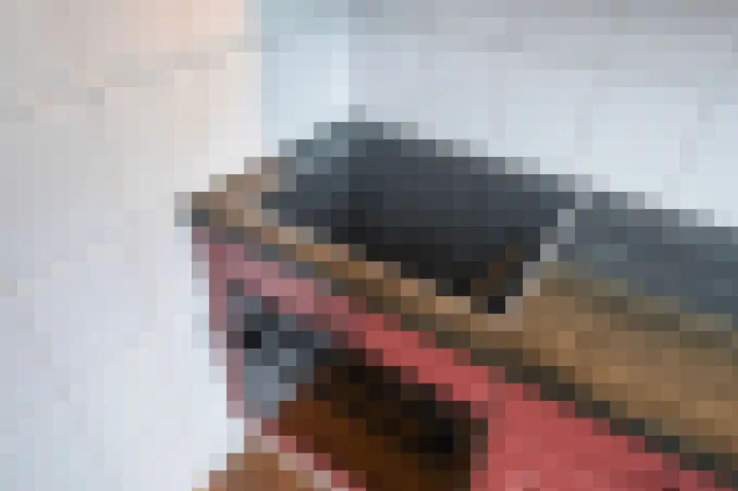 Sepiahof 22 Voorburg thumbnail 20