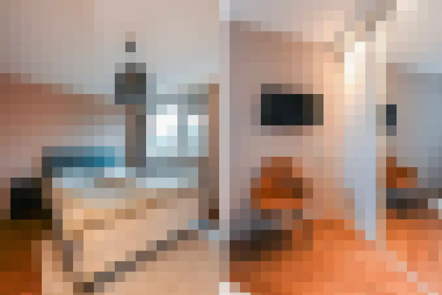 Sepiahof 22 Voorburg thumbnail 24