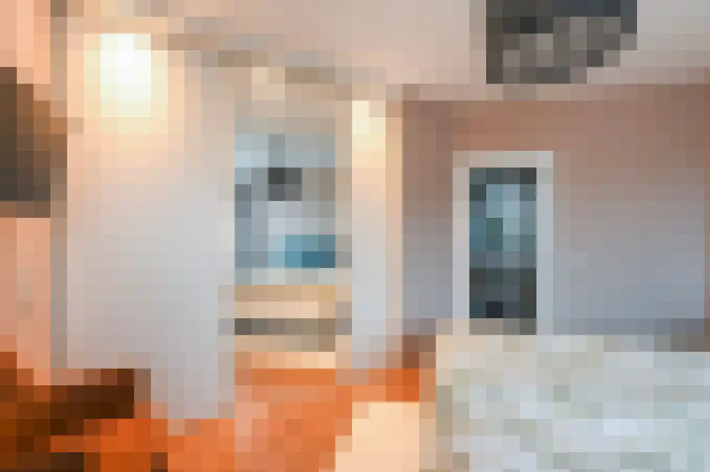 Sepiahof 22 Voorburg thumbnail 25