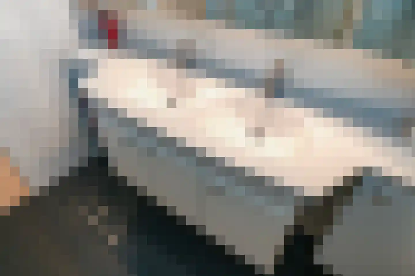 Sepiahof 22 Voorburg thumbnail 28