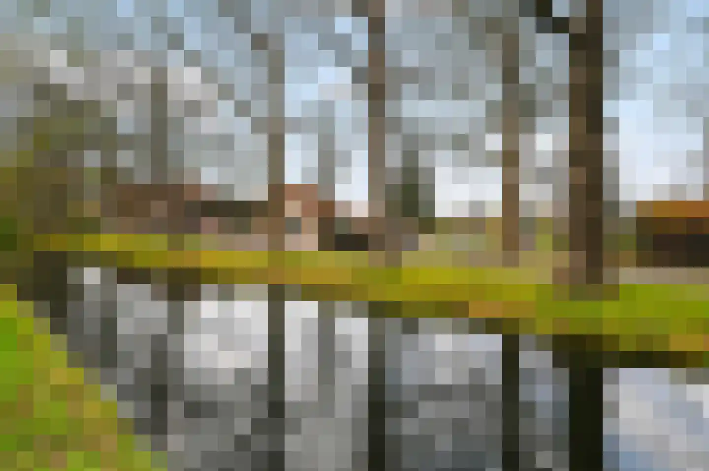 Sepiahof 22 Voorburg thumbnail 6