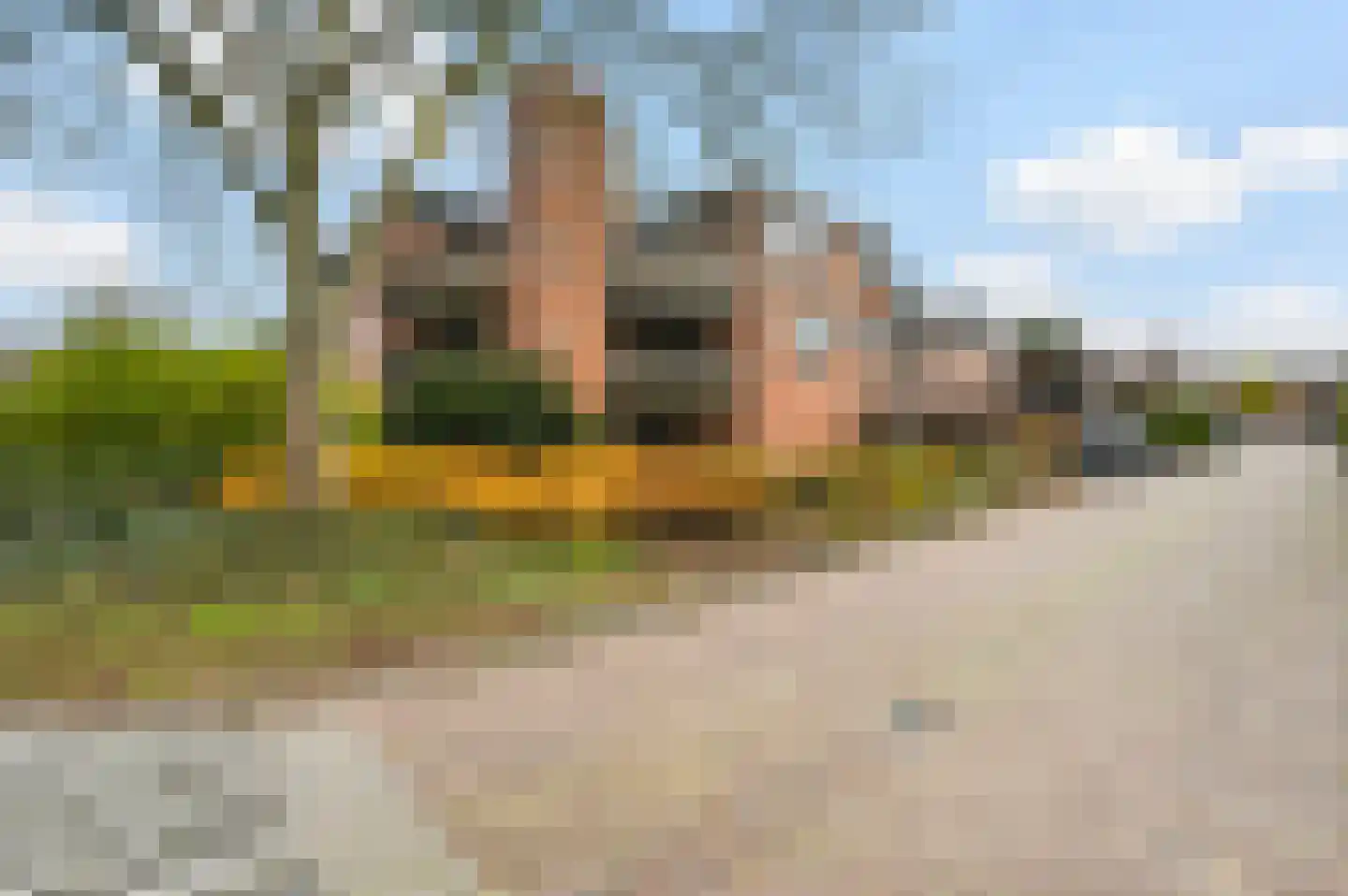 Sepiahof 22 Voorburg thumbnail 7