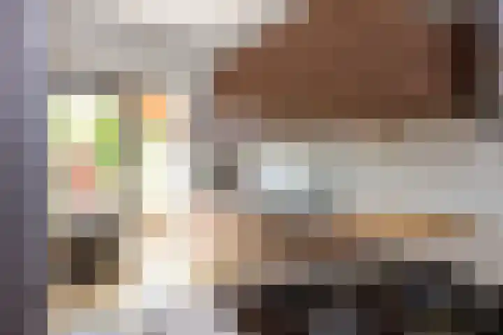 Sepiastraat 2 Tilburg thumbnail 12