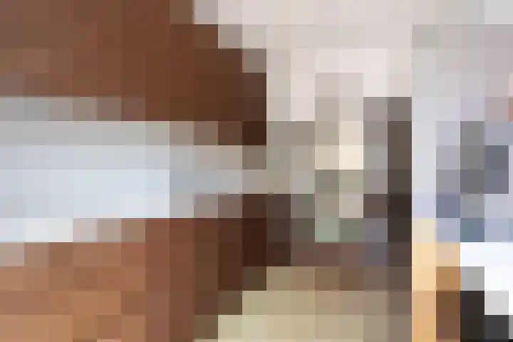 Sepiastraat 2 Tilburg thumbnail 13