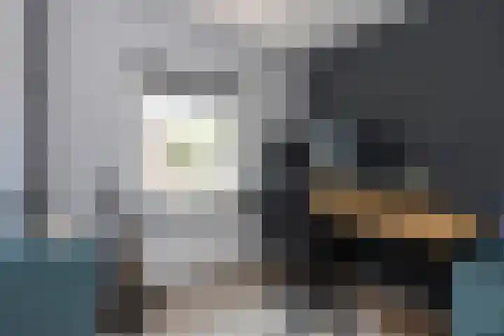 Sepiastraat 2 Tilburg thumbnail 17
