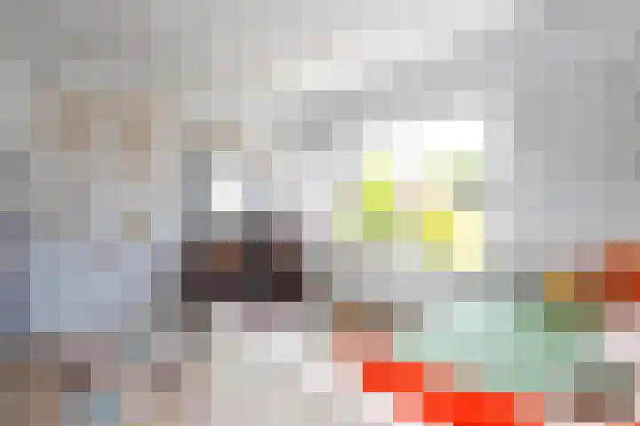 Sepiastraat 2 Tilburg thumbnail 18
