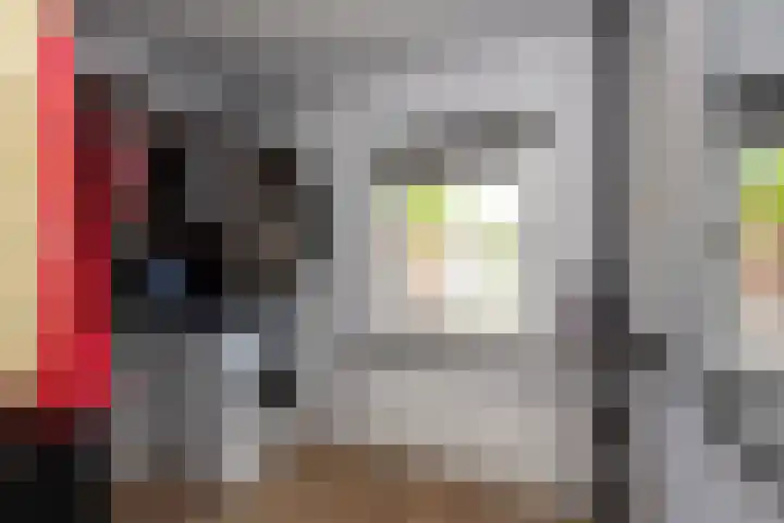 Sepiastraat 2 Tilburg thumbnail 20