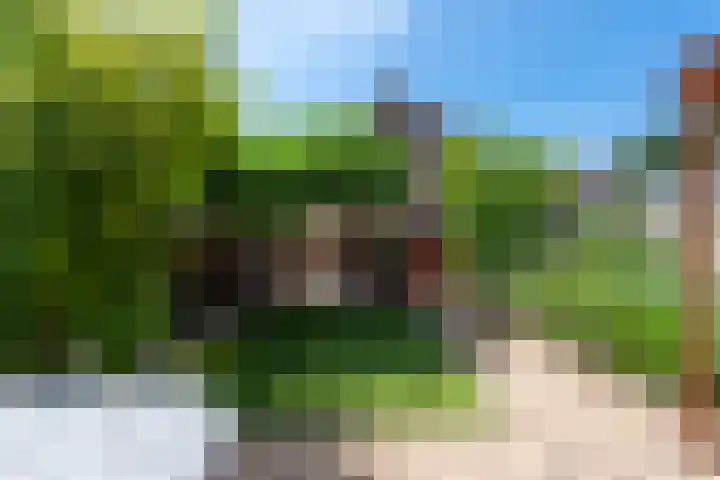 Sepiastraat 2 Tilburg thumbnail 22