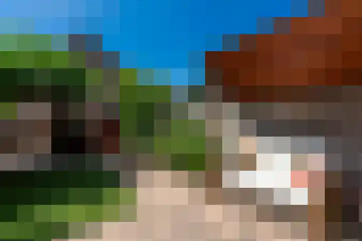 Sepiastraat 2 Tilburg thumbnail 23