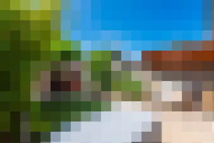 Sepiastraat 2 Tilburg thumbnail 24