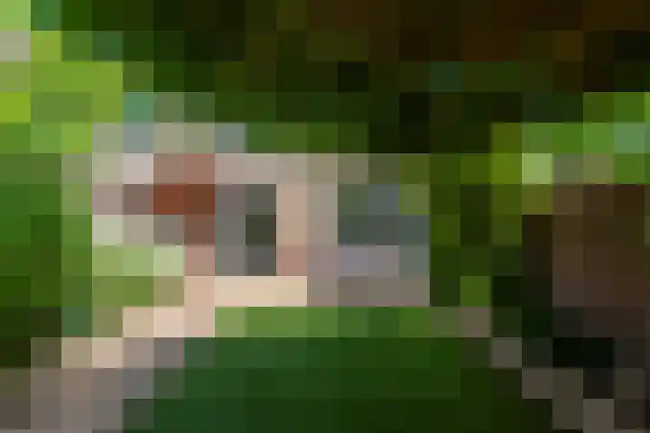 Sepiastraat 2 Tilburg thumbnail 26