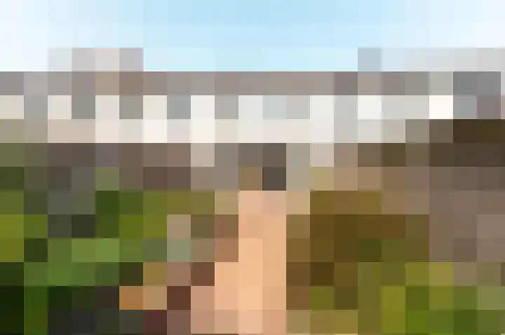 Sepiastraat 44 Almere thumbnail 29